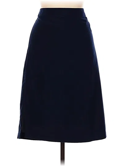 Pre-owned Travelsmith Formal Skirt In Blue