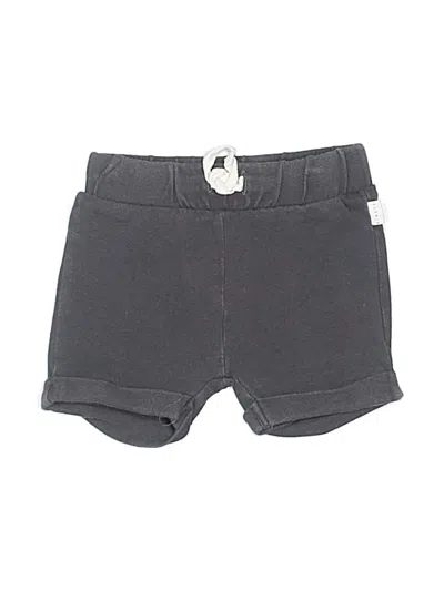 Pre-owned Firsts By Petit Lem Babies' Shorts In Gray