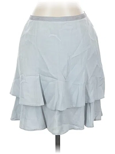 Pre-owned Bcbgmaxazria Casual Skirt In Gray