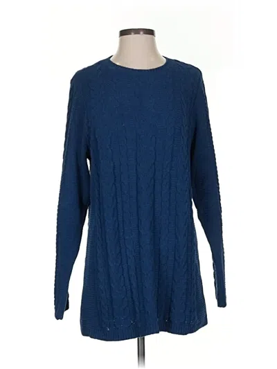 Pre-owned Jjill Pullover Sweater In Blue