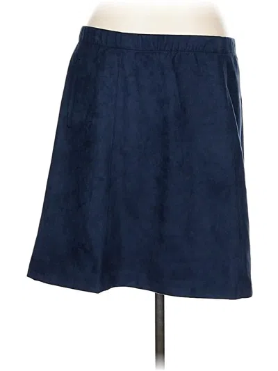 Pre-owned Jjill Casual Skirt In Blue