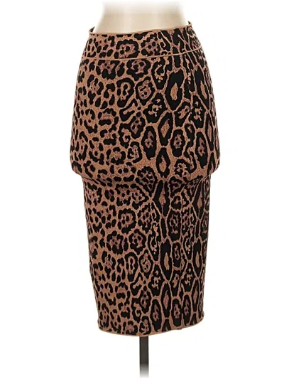 Pre-owned Bcbgmaxazria Casual Skirt In Brown