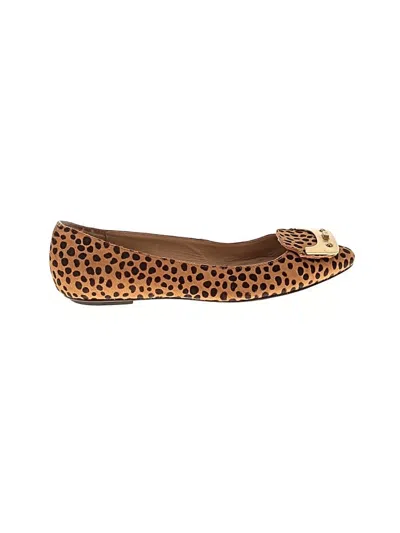 Pre-owned Diane Von Furstenberg Flats In Brown