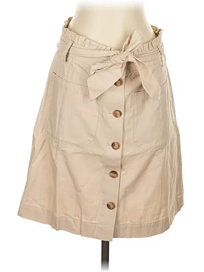 Pre-owned Ann Taylor Loft Outlet Casual Skirt In Brown