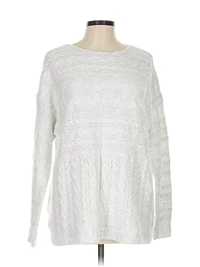 Pre-owned Jjill Pullover Sweater In Silver