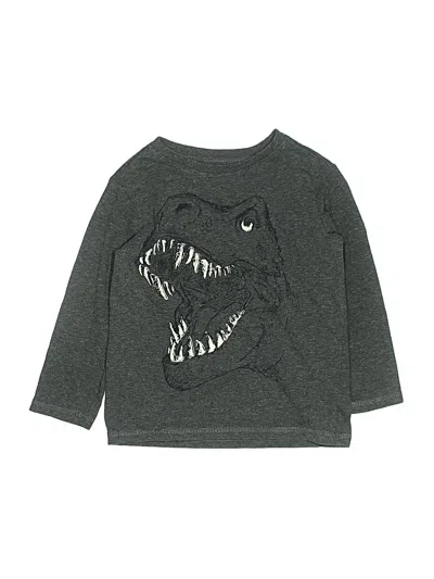 Pre-owned Hatley Kids' Long Sleeve T-shirt In Gray