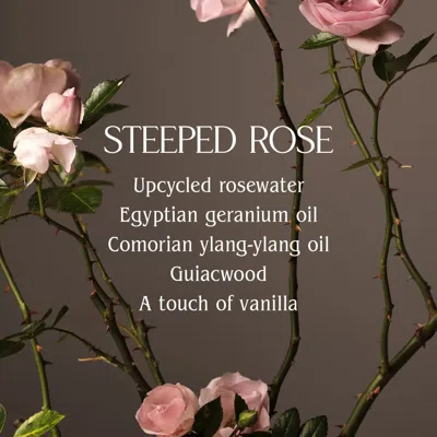 Homecourt Steeped Rose Hand Cream In Transparent