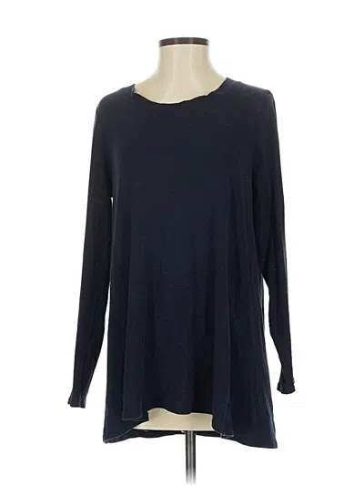 Pre-owned Jjill Pullover Sweater In Blue