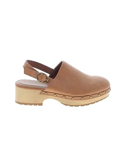 Pre-owned Steve Madden Mule/clog In Brown