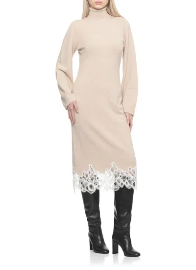 Fabiana Filippi Roll-neck Lace-trim Dress In Brown