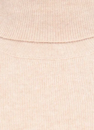 Fabiana Filippi Roll-neck Lace-trim Dress In Brown