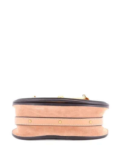 Pre-owned Chloé Nile Leather Small Crossbody Bag In Neutral