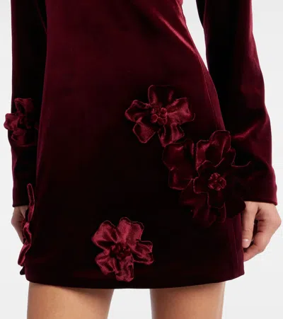 Leo Lin Aliza Floral-appliqué Velvet Minidress In Burgundy