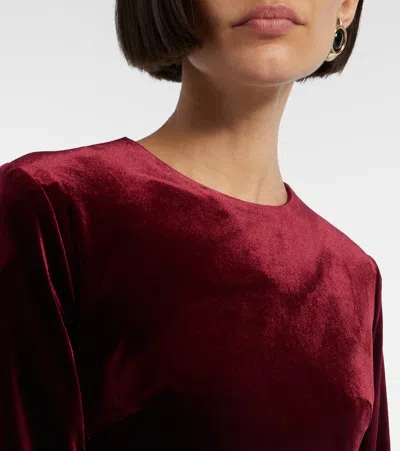 Leo Lin Aliza Floral-appliqué Velvet Minidress In Burgundy