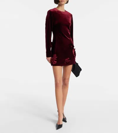 Leo Lin Aliza Floral-appliqué Velvet Minidress In Burgundy
