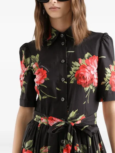 Dolce & Gabbana Rose Bouquet-print Poplin Shirt Dress Clothing In Black