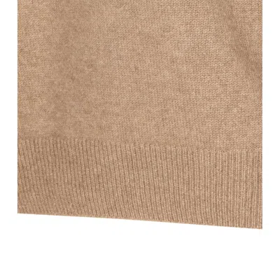 Auralee Cozy Baby Crewneck Sweater With Long Sleeves In Brown