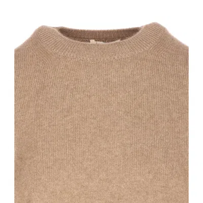 Auralee Cozy Baby Crewneck Sweater With Long Sleeves In Brown