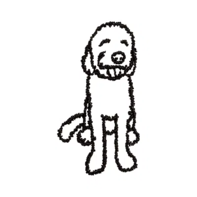 Baublebar Golden Doodle Icon In Black