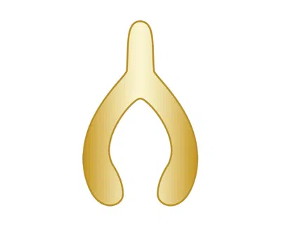 Baublebar Mini Wishbone Icon In Gold