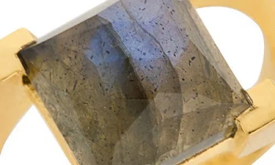 Dean Davidson Mini Plaza Labradorite Ring In Brown