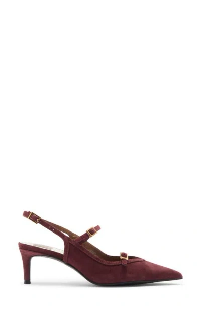 Dolce Vita Kishan Pointed Toe Slingback Pump In Burgundy