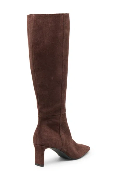 Dolce Vita Gabby Knee High Boot In Brown