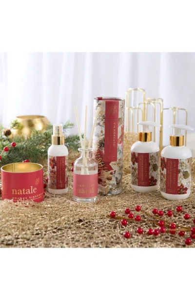 Via Mercato Natale Orange Gingersnap Candle In Multi