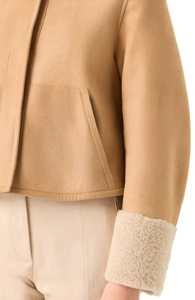 Akris Cady Reversible Genuine Shearling Jacket In Brown