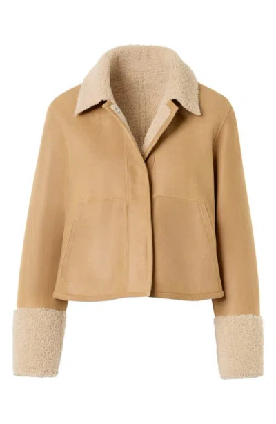Akris Cady Reversible Genuine Shearling Jacket In Brown