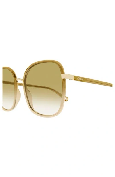 Chloé 56mm Gradient Square Sunglasses In Green