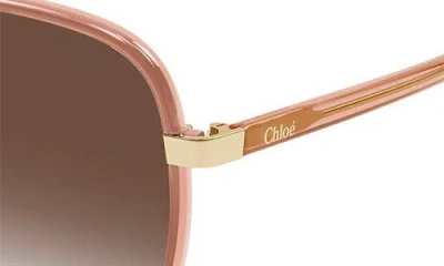 Chloé 56mm Gradient Square Sunglasses In Brown