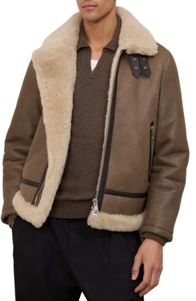 Reiss Hardy Genuine Shearling Trim Aviator Jacket In Brown