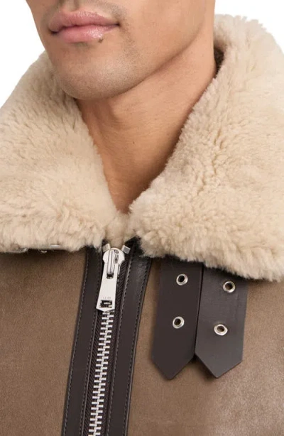 Reiss Hardy Genuine Shearling Trim Aviator Jacket In Brown