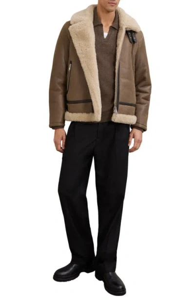Reiss Hardy Genuine Shearling Trim Aviator Jacket In Brown