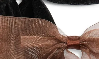 Bp. Set Of 2 Velvet & Organza Hair Bow Barrettes In Black