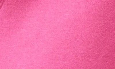 True Religion Women's Cropped Crystal Relaxed Sweatshirt In Pink