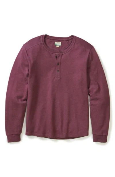 Marine Layer Pacifica Stretch Henley In Purple