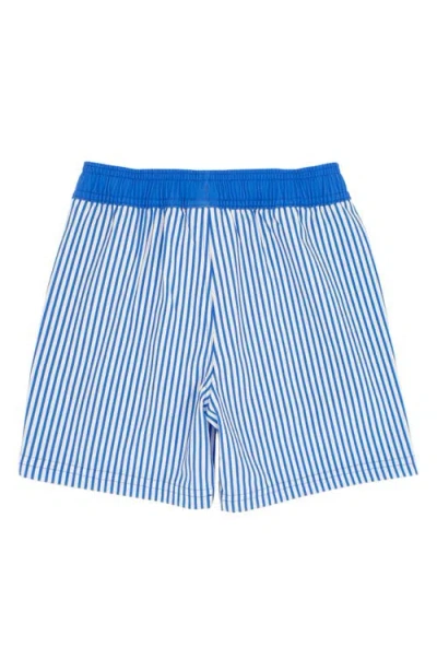 Feather 4 Arrow Kids' Pinstripe Volley Trunks In Blue