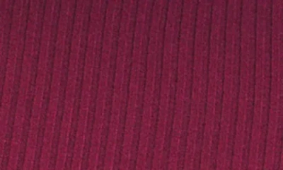 Deluc Mylo Ribbed Turtleneck Sweater In Burgundy