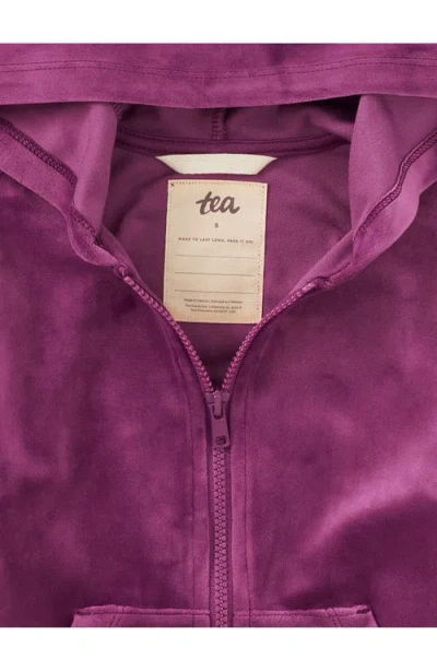 Tea Collection Cat Ears Velour Hoodie