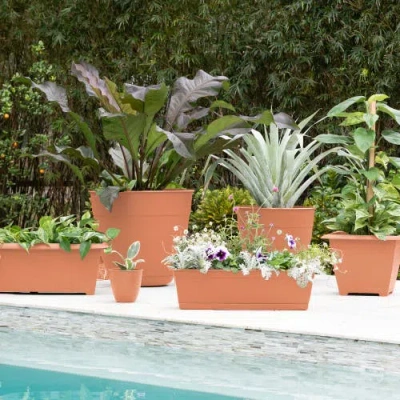 Bloem 24 Inch Dayton Window Box Planter, Coral In Brown