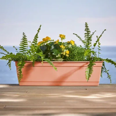 Bloem 24 Inch Dayton Window Box Planter, Coral In Brown