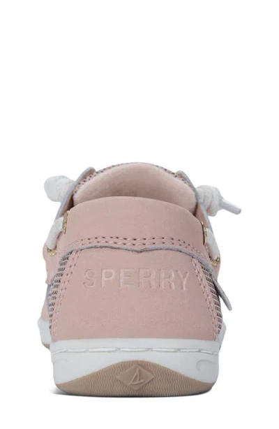 Sperry Kids' Shoresider 3-eye Boat Shoe In Pink