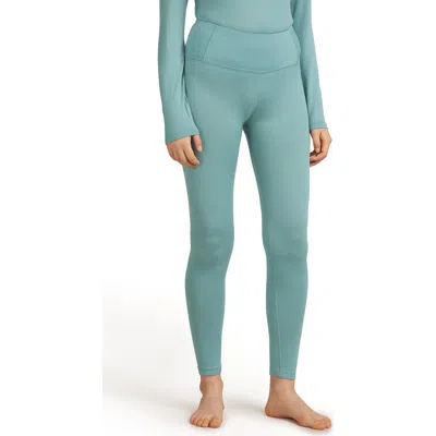 Icebreaker Merino Wool 260 Tech Leggings In Blue