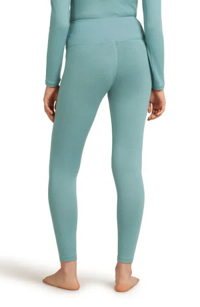 Icebreaker Merino Wool 260 Tech Leggings In Blue