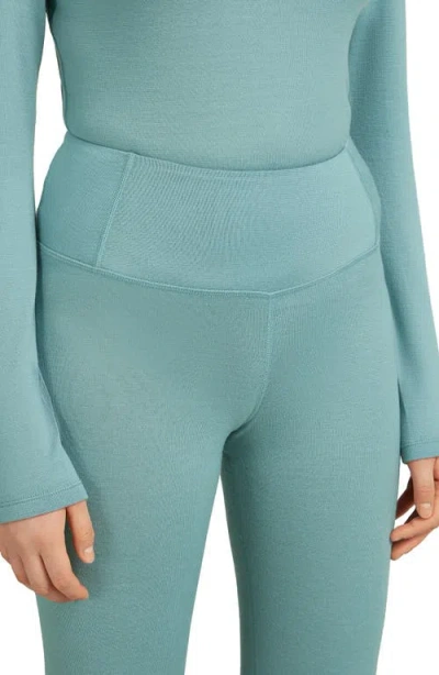 Icebreaker Merino Wool 260 Tech Leggings In Blue