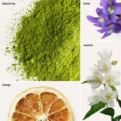 Dusa Fragrances Té Matcha In Multi