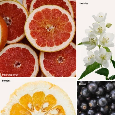 Dusa Fragrances Grapefruit In Multi