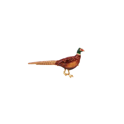 Fable England Pheasant Enamel Brooch In Brown